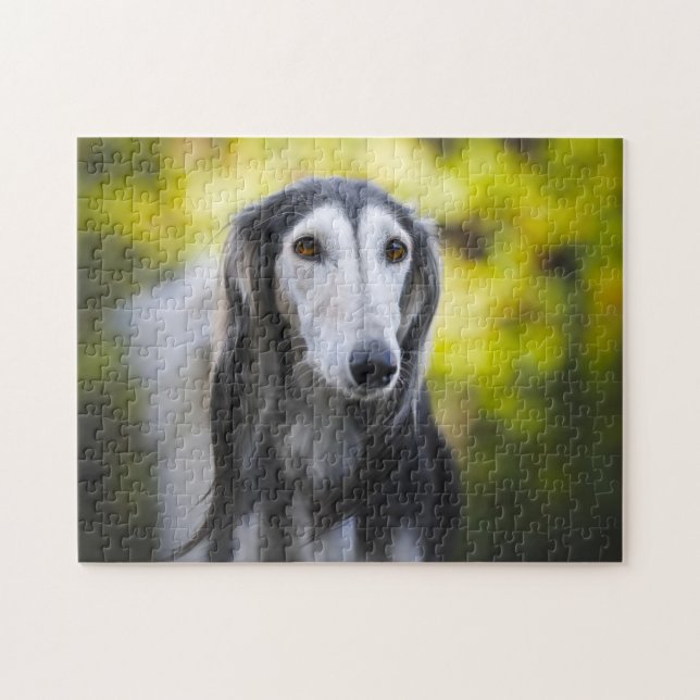 Puzzle Saluki Dog Jigsaws. (Horizontal)