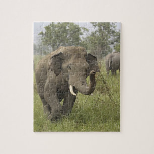 Puzzle Salutation de l'éléphant asiatique indien