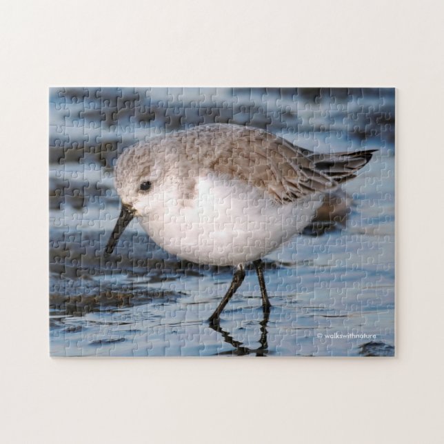 Puzzle Sanderling Flâner sur une plage d'hiver (Horizontal)