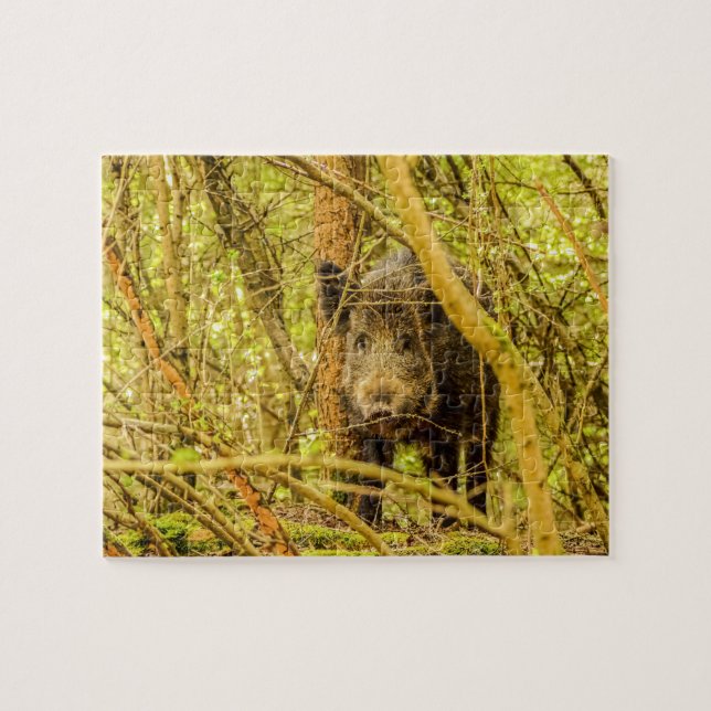 Puzzle Sanglier (Horizontal)