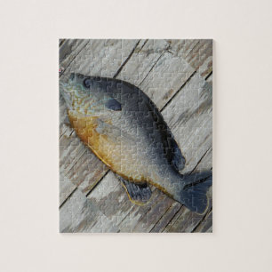 Puzzle sarcelle d'hiver pourpre jaune bleue, poisson de