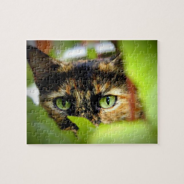 Puzzle Sasha (Horizontal)