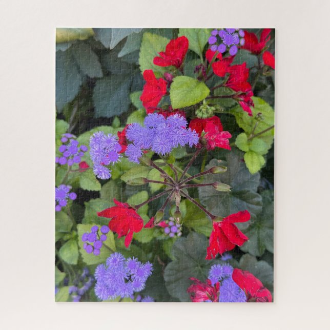 Puzzle  Sauge rouge et agératum violet, Québec  (Vertical)