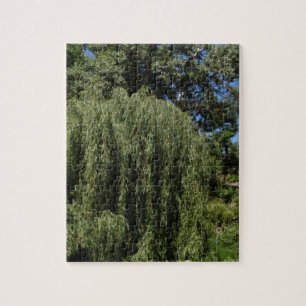 Puzzle Saule pleurant