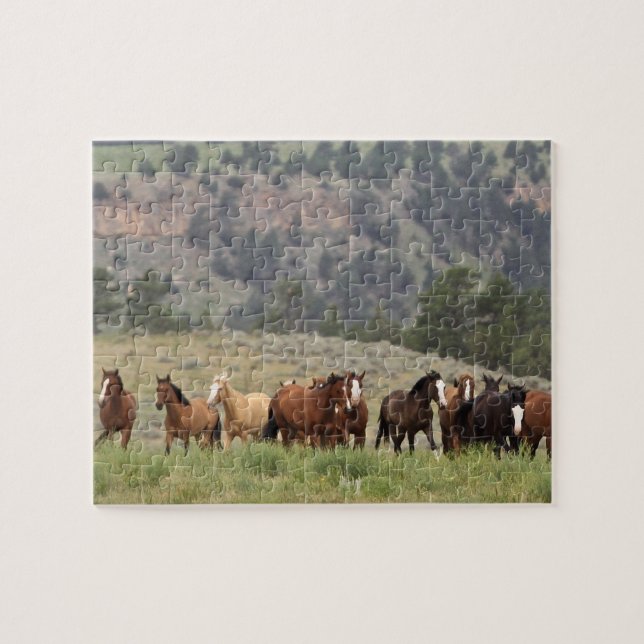 Puzzle sauvage de mustang avec la boîte-cadeau (Horizontal)