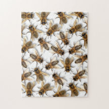 Sauvez l'abeille ! Sauvez le monde ! Vivent la