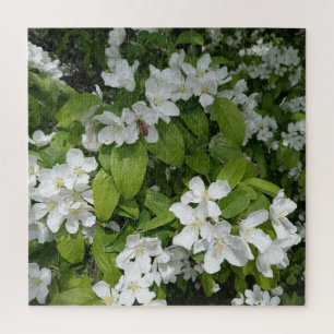 Puzzle Savourer le doux parfum des fleurs de cerisier
