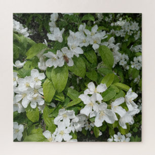 Puzzle Savourer le doux parfum des fleurs de cerisier