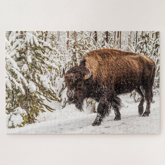 Puzzle Scary Bison (Bison Bison) - Buffalo - 1014 pièce (Horizontal)