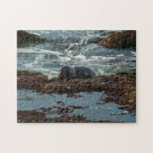 Puzzle Sceau de port Lit Sunset I à San Diego