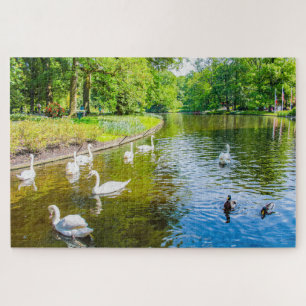 Puzzle Scène avec cygnes du parc Keukenhof, Pays-Bas