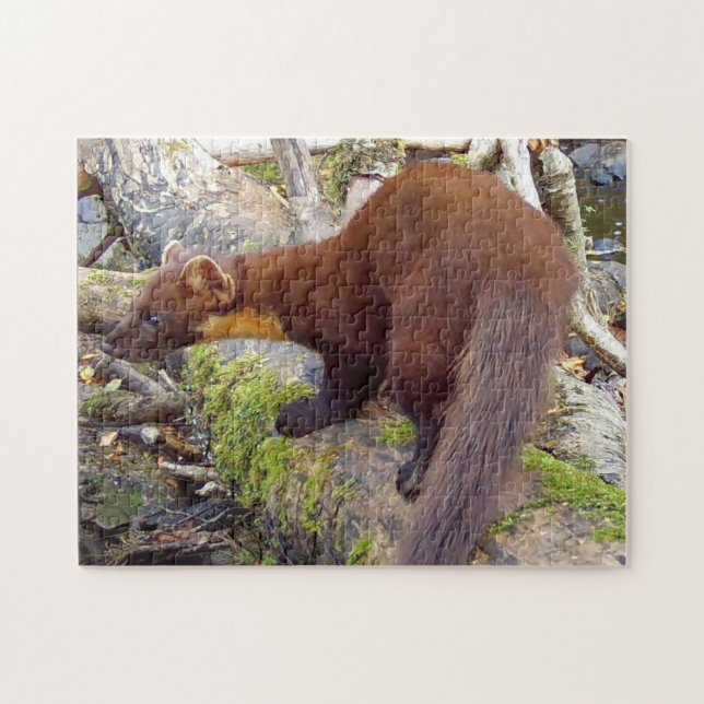 Puzzle Scène charmante de forêt de pins avec martres (Horizontal)