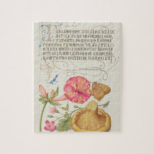 Puzzle Scène de jardin avec fleurs, papillon et champigno