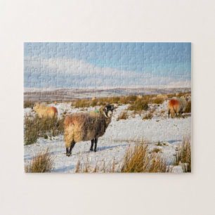 Puzzle Scène hivernale des moutons