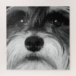 Puzzle Schnauzer miniature