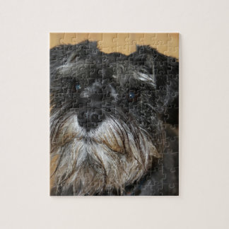 Puzzle Schnauzer miniature