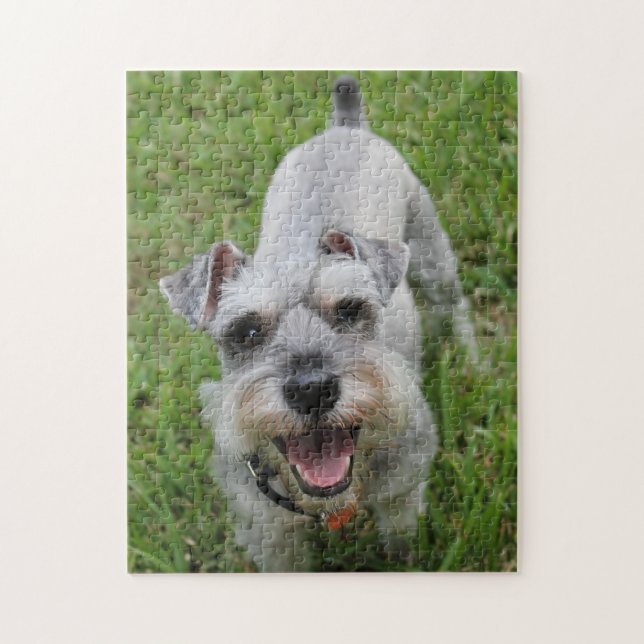 Puzzle Schnauzer miniature souriant (Vertical)