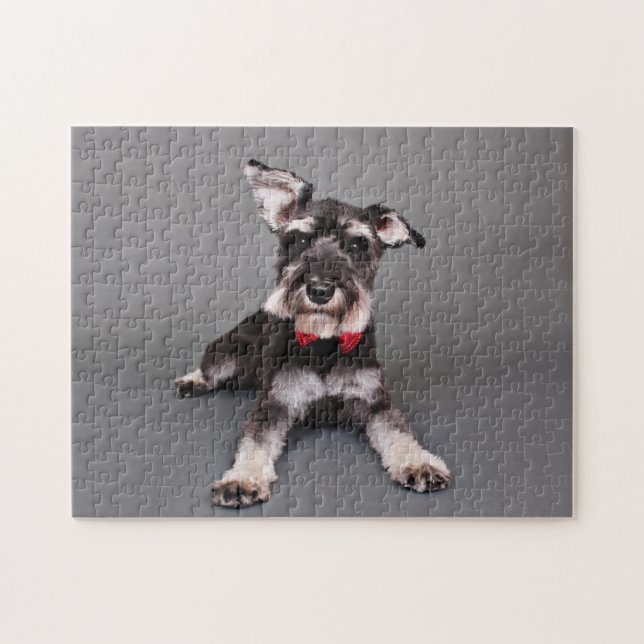 Puzzle Schnauzer - Tom Dooley (Horizontal)