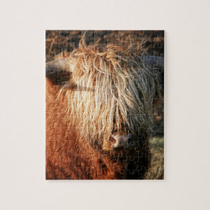 Puzzle Scottish Highland Cow - Scotland