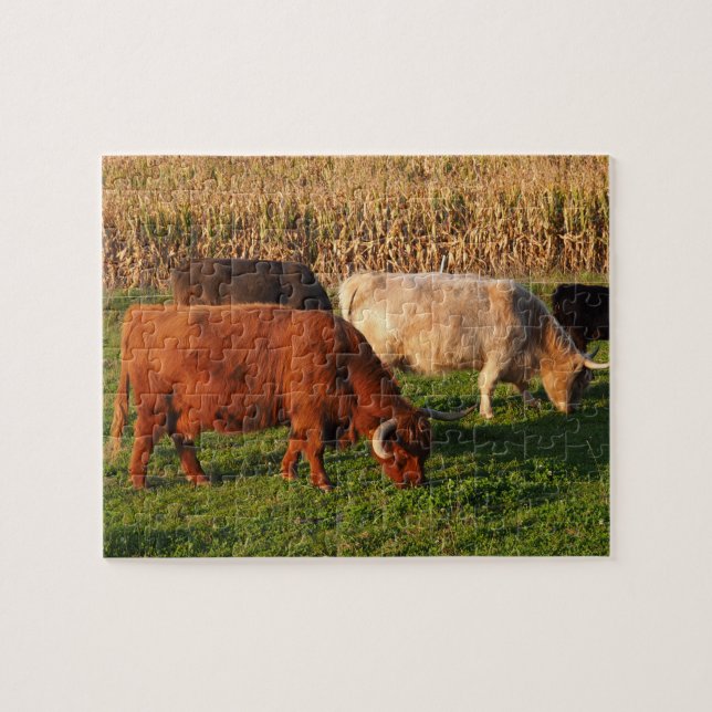 Puzzle Scottish Highland Cows in a pasture (Horizontal)