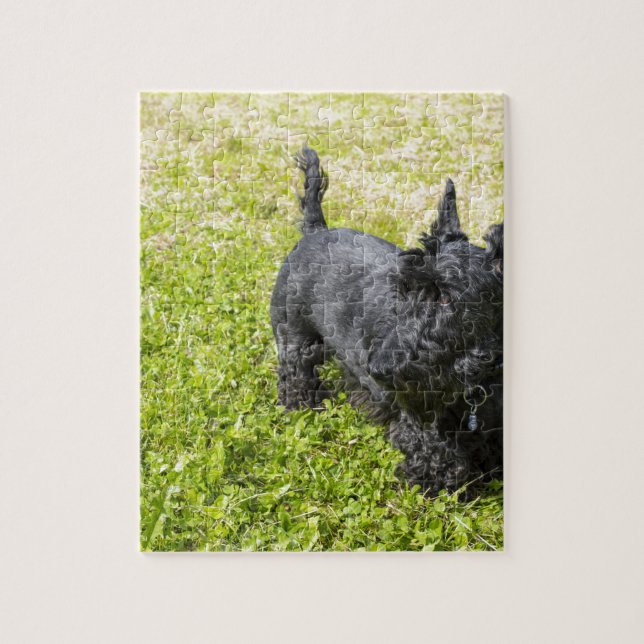 Puzzle Scottish Terrier (Vertical)