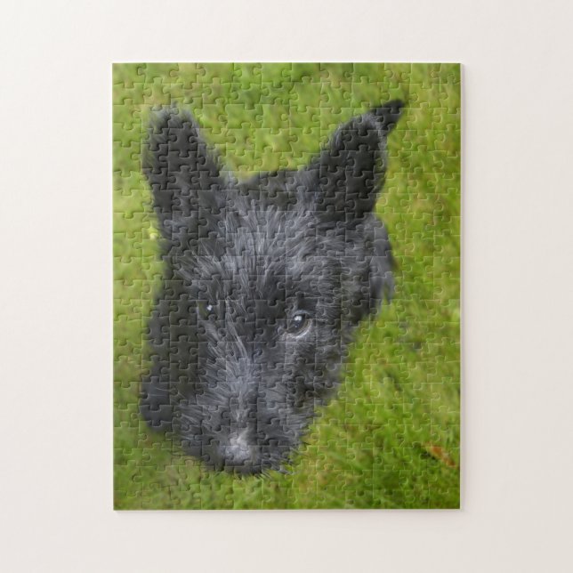 Puzzle Scottish Terrier Jigsaws. (Vertical)