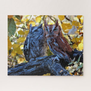 Puzzle Screech Owls