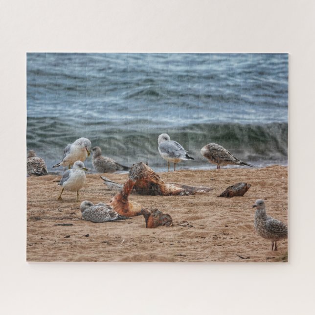 Puzzle Se promener sur la plage (Horizontal)