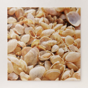 Puzzle Sea Beach Shell : Arrière - plan texturé en été