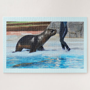 Puzzle Sea lion
