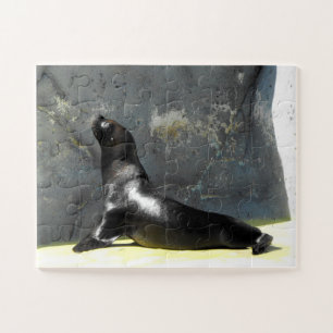 Puzzle Sea lion