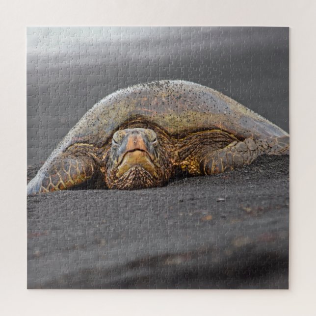 Puzzle Sea Turtle Black Sand Beach Hawaii - 20x20 - 676 p (Vertical)