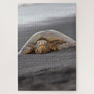 Puzzle Sea Turtle Black Sand Beach Hawaii -20x30- 1014 pc