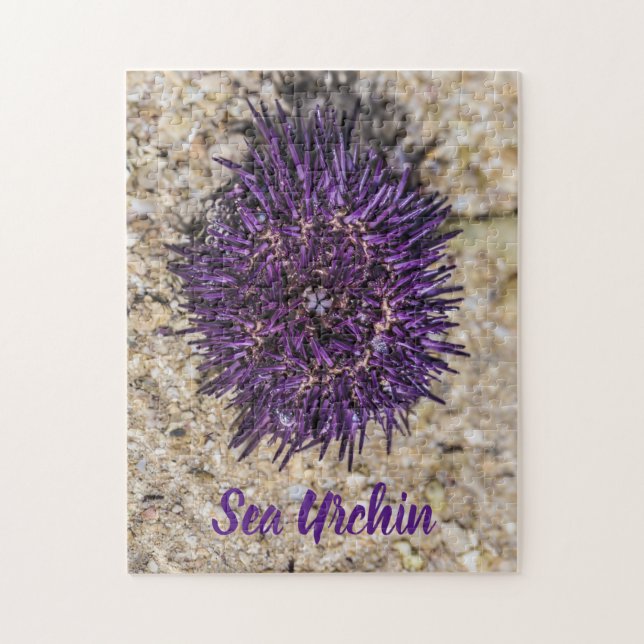 Puzzle Sea Urchin Ocean Beach Vacances Souvenir d'été (Vertical)