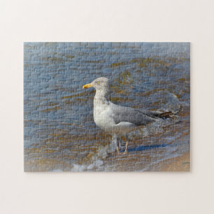 Puzzle Seagull