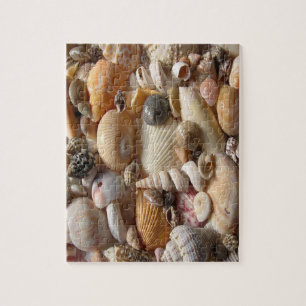 Puzzle Seashell