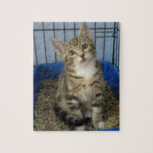 Puzzle Secourt Kitty