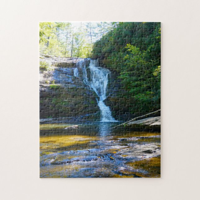 Puzzle Secret Falls North Carolina. (Vertical)