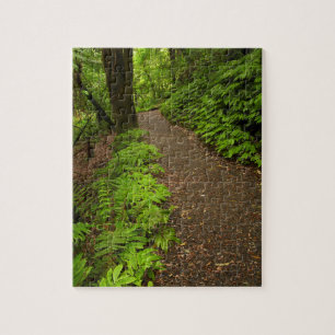 Puzzle Sentier à travers la forêt