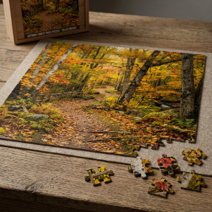 Puzzle Sentier d'automne dans une forêt