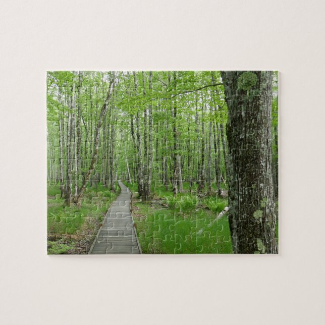 Puzzle Sentier de planches Jesup Path (Horizontal)