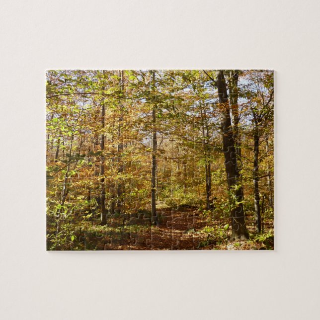 Puzzle Sentier de Wolf Rocks en automne paysage de Pennsy (Horizontal)