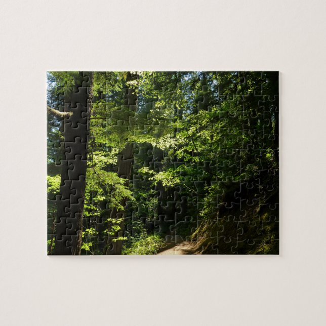 Puzzle Sentier depuis Silver Falls (Horizontal)