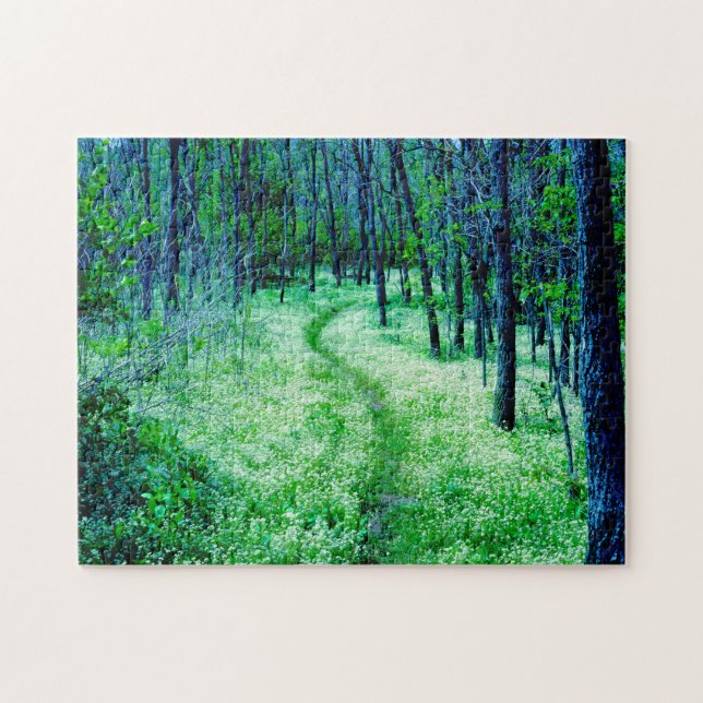 Puzzle Sentier des Appalaches Virginie-Occidentale. (Horizontal)