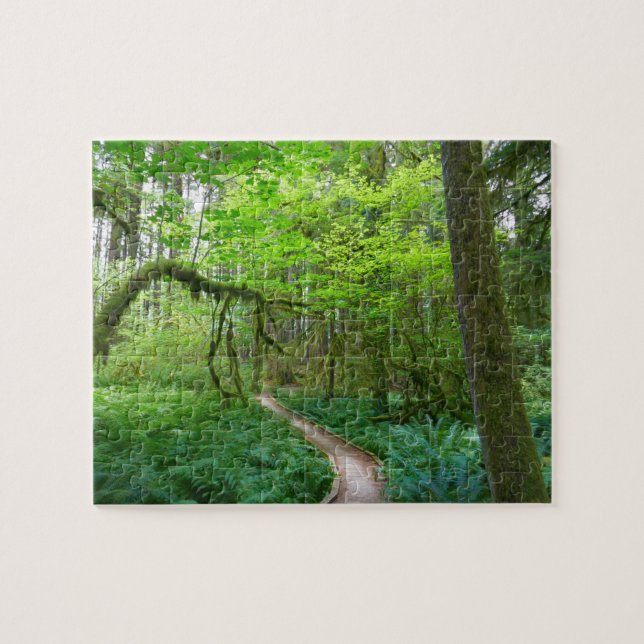 Puzzle Sentier des bosquets anciens du parc national Olym (Horizontal)