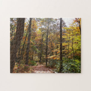 Puzzle Sentier ensoleillé d'automne à Laurel Hill State P