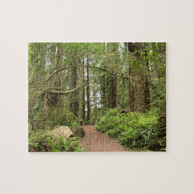 Puzzle Sentier Karl Knapp (Horizontal)