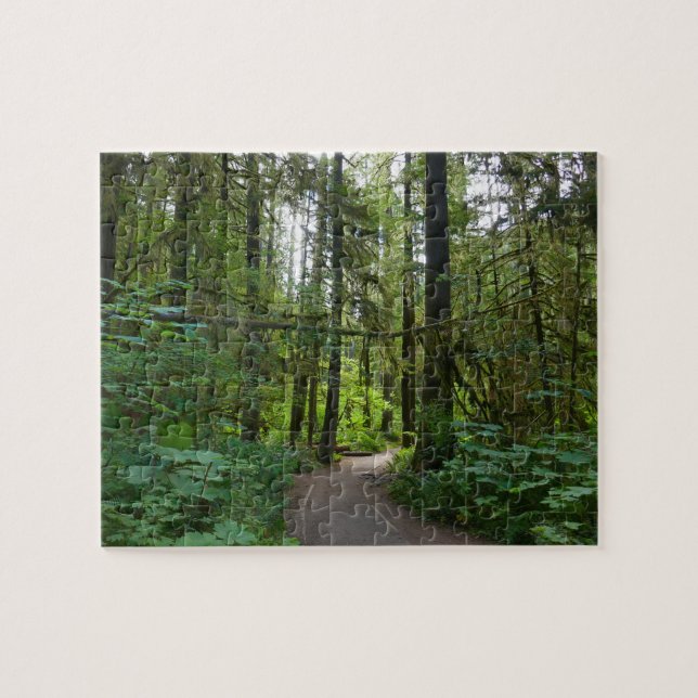 Puzzle Sentier pour Marymere Falls I (Horizontal)