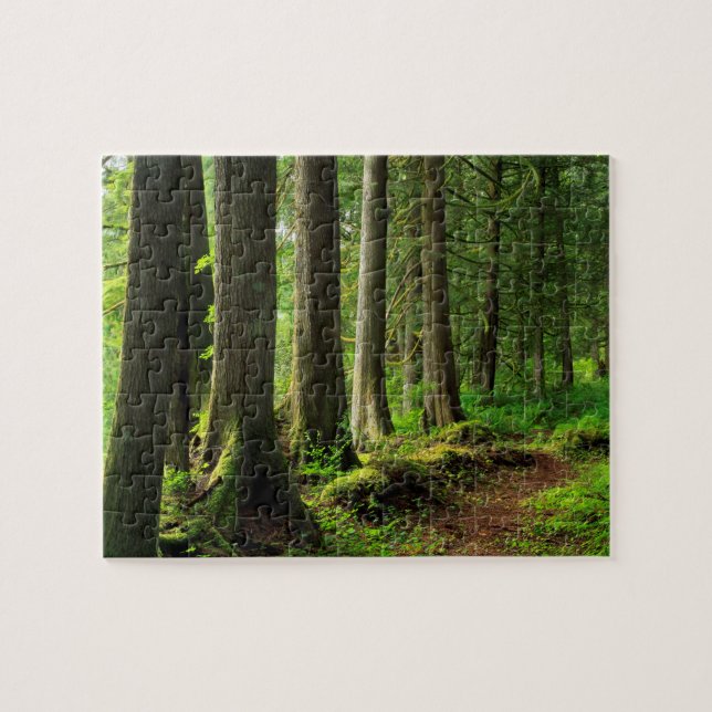 Puzzle Sentier Scénique de la Forêt Verte (Horizontal)