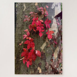 Puzzle Sentiments d'automne - feuilles rouges sur le tron